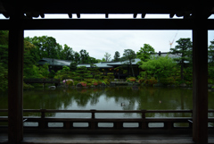 190607平安神宮32