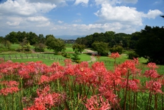 180916馬見丘陵32+