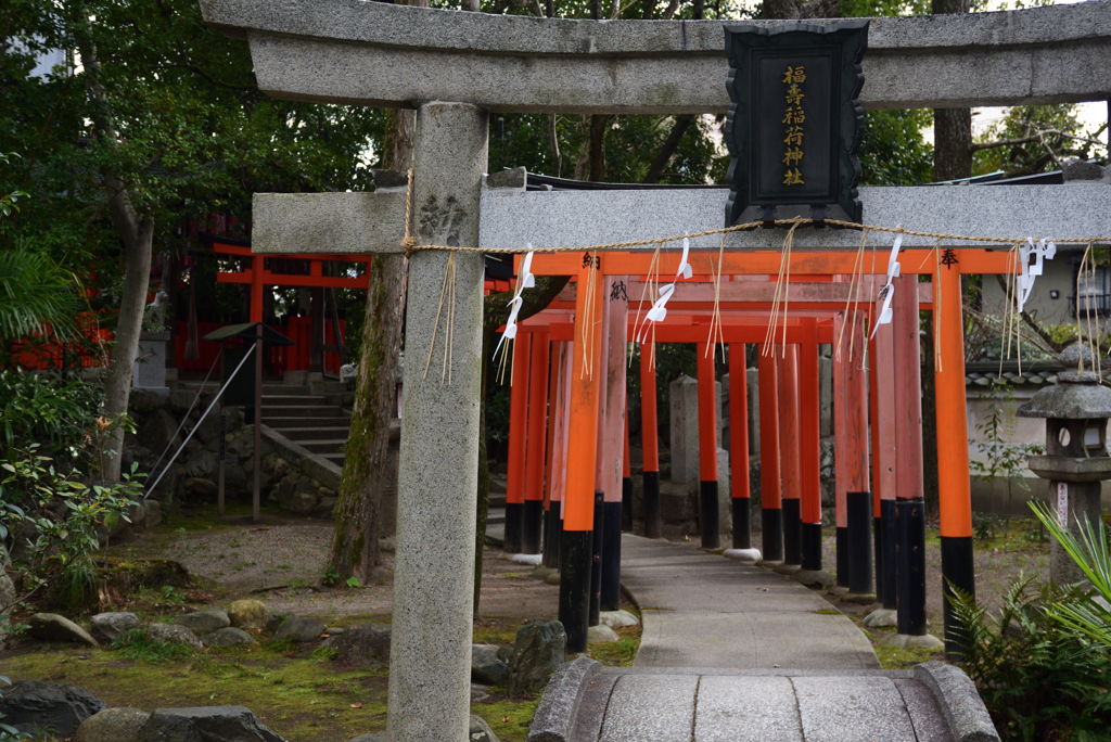 200119c上御霊神社38