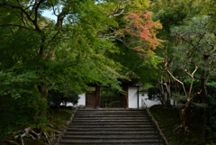 181101c安楽寺34