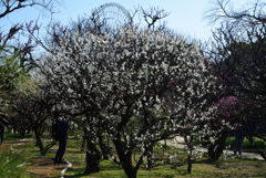 210220万博公園19