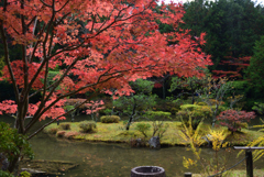 201108円成寺53