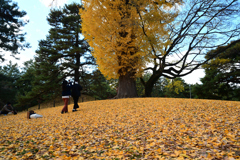 231202c京都御苑22