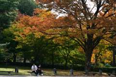 251104京都御苑20