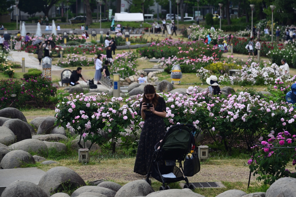 190517b靭公園52