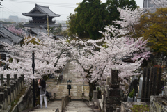 210330b金戒光明寺07