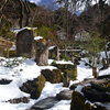 250210c大原宝泉院07