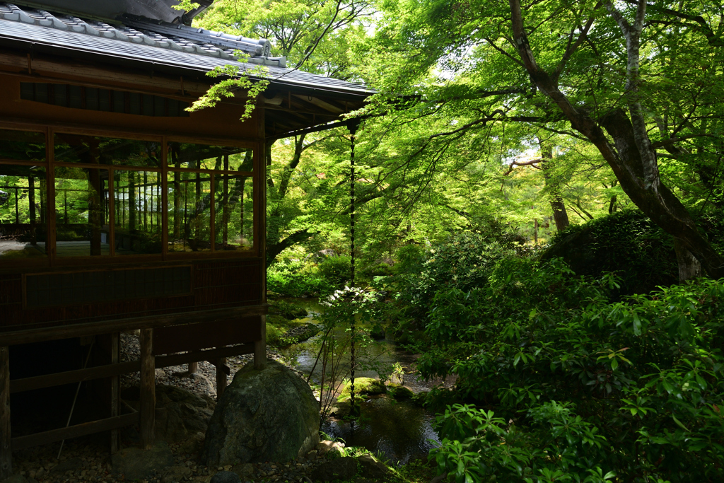 230527b宝厳院31