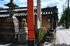 241011寺町通19
