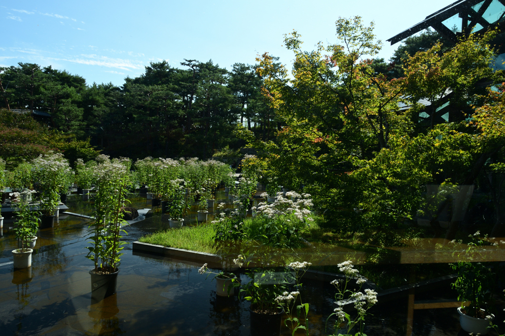 241006梅小路公園09