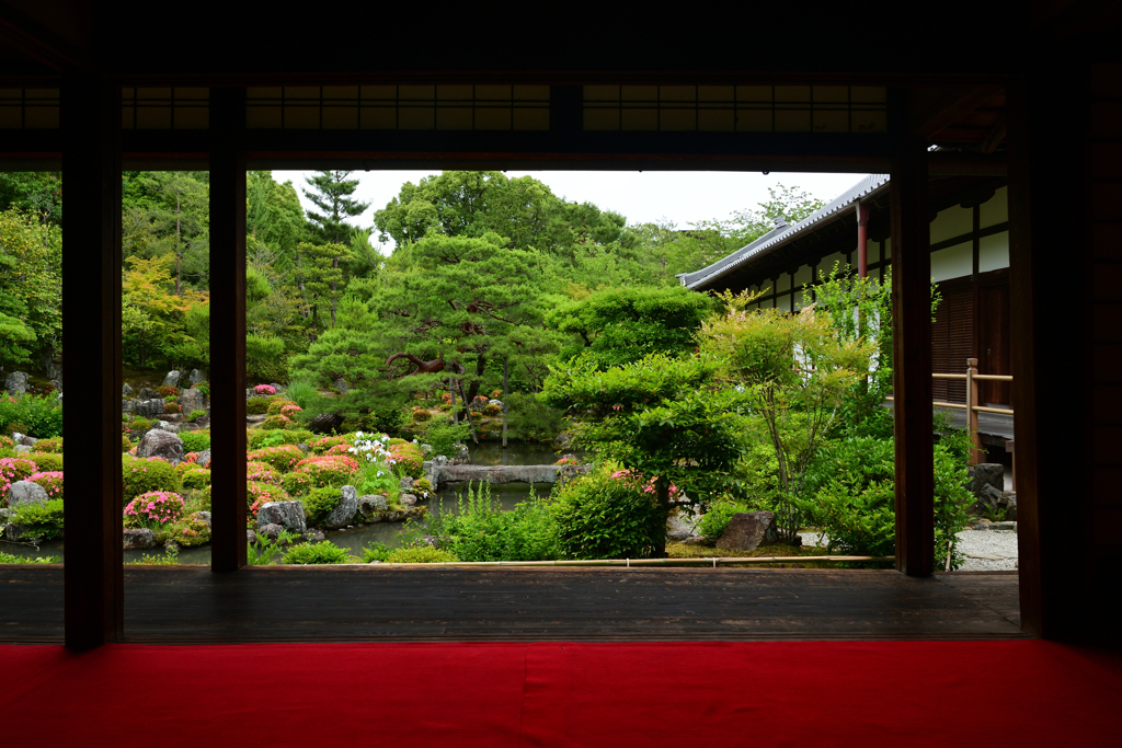 230604a等持院50