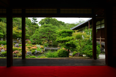 230604a等持院50