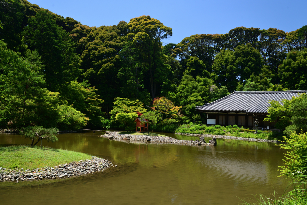 220612b浄瑠璃寺38