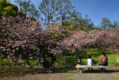 210407e京都御苑28