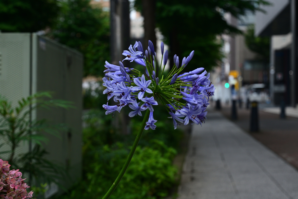 230623a新横浜15
