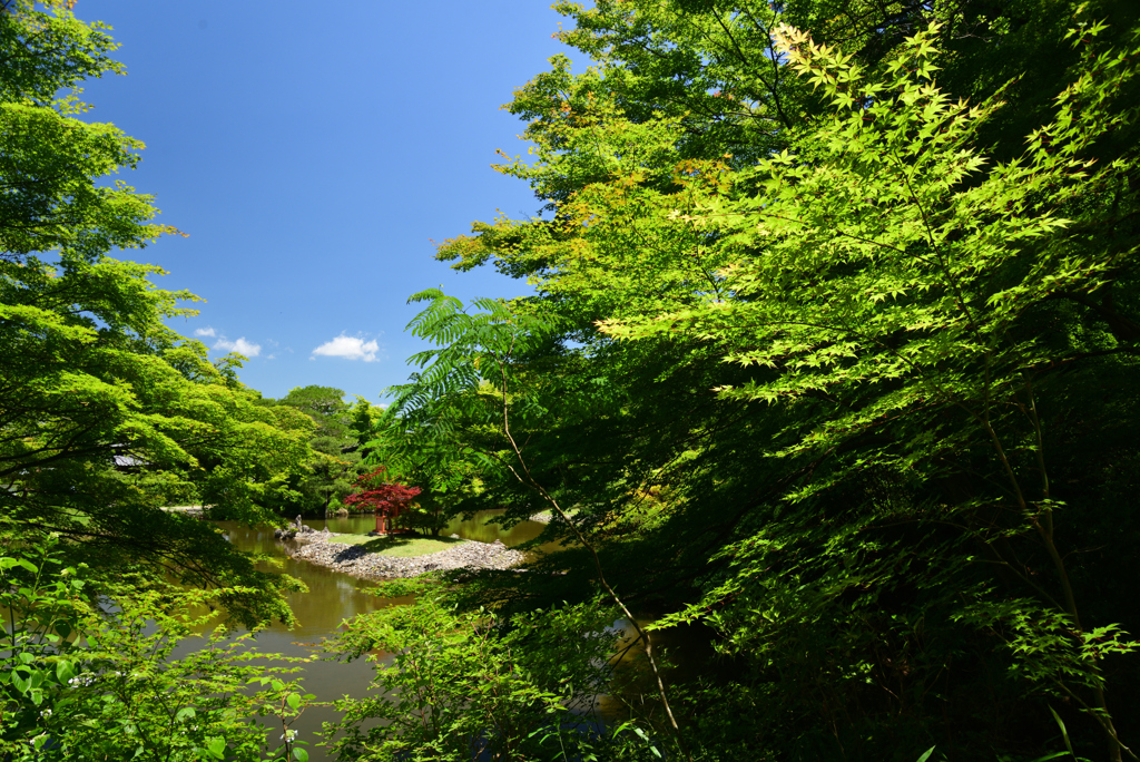 220612b浄瑠璃寺25