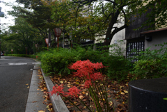 210916b木屋町通29四条下る