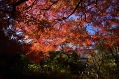211129b不退寺32
