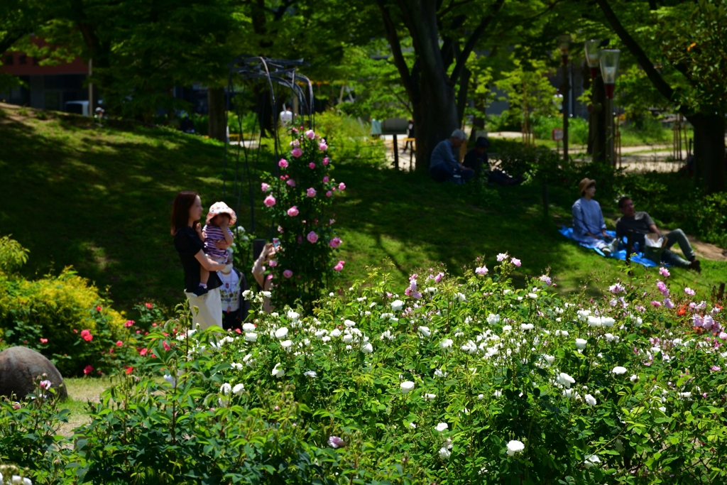 230504a靭公園39