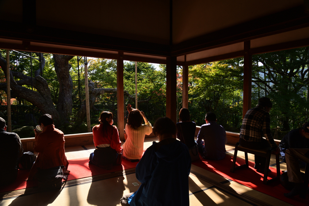 221104d宝泉院36