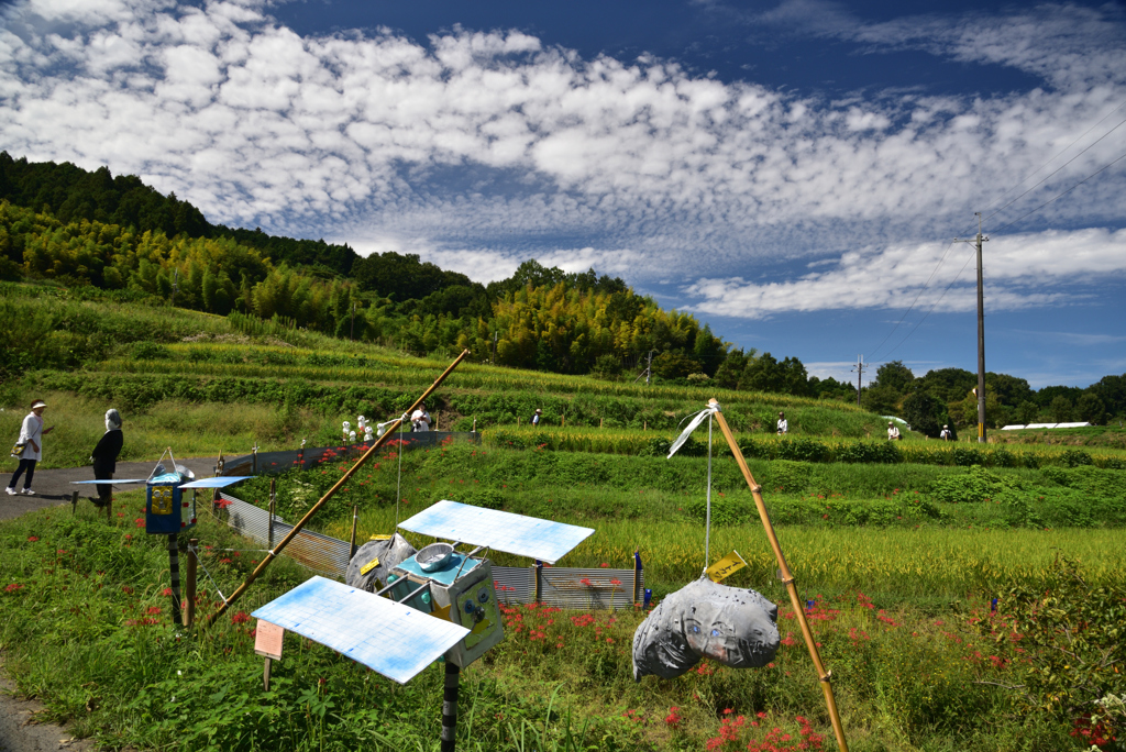 190925b明日香村稲渕22