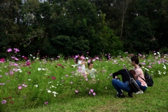 181014万博公園13+