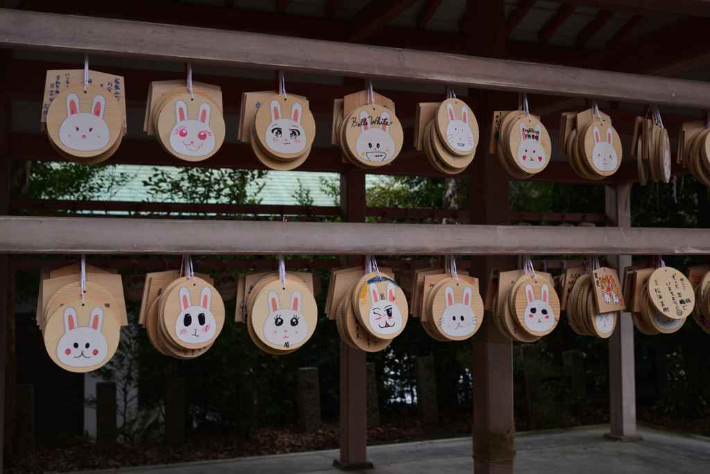 230113d宇治神社26