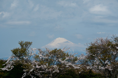 250405a日本平27