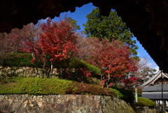211203a光明寺19