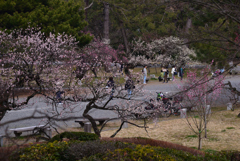 220312b京都御苑31