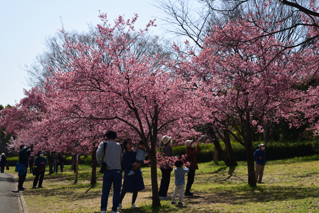 210311b鶴見緑地44