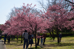 210311b鶴見緑地44