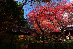 231204b厭離庵25