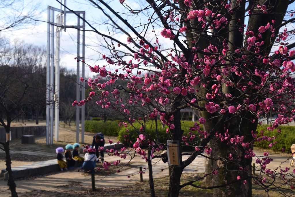 230209c梅小路公園15