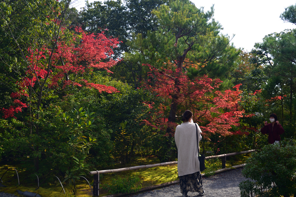 211116c光悦寺42