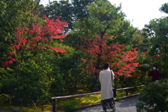 211116c光悦寺42