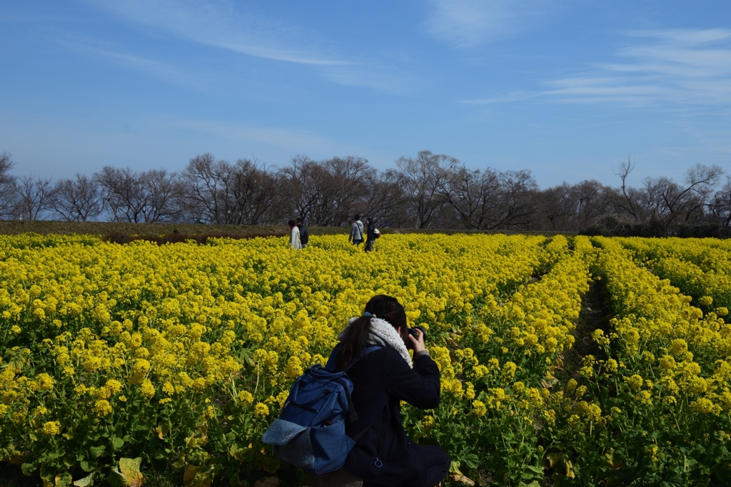 180303なぎさ公園29+