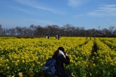 180303なぎさ公園29+