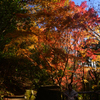 241129d三景園16