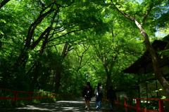 250513下鴨神社14