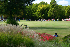 231012万博公園21