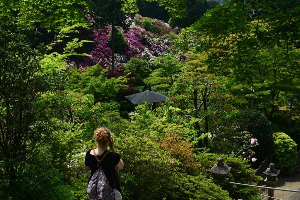 180501三室戸寺07