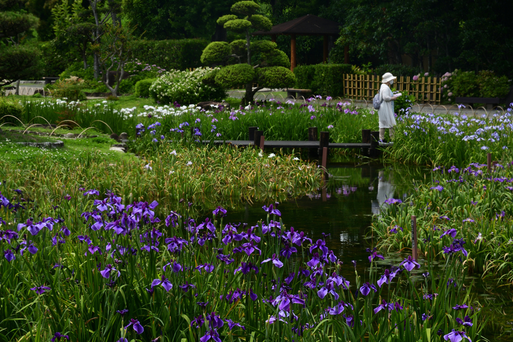 230607城北公園19村祭