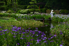 230607城北公園19村祭