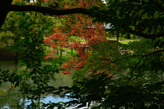 2501028京都植物園39