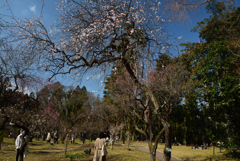 210211c京都植物園23