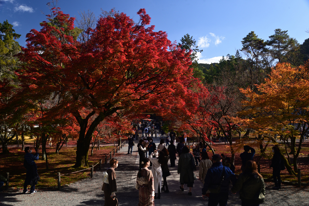 221127a南禅寺22