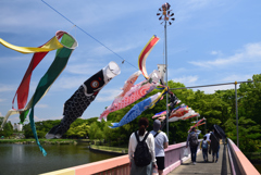 190512a長居植物園77