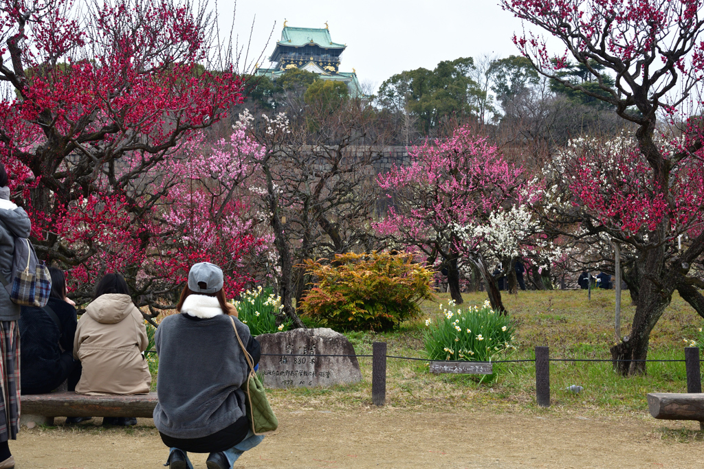 230218大阪城40