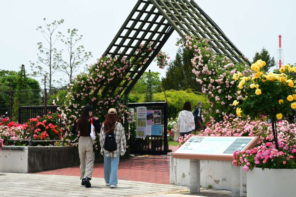 250523a浜寺公園47